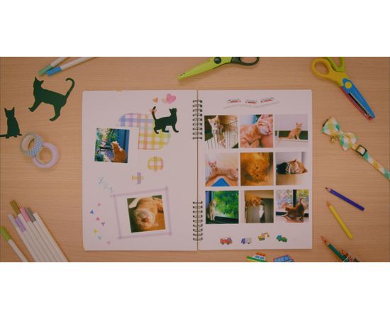 Купить Картридж Canon XS-20L Ink/Paper Set - 20 Prints (4119C002) по лучшей цене