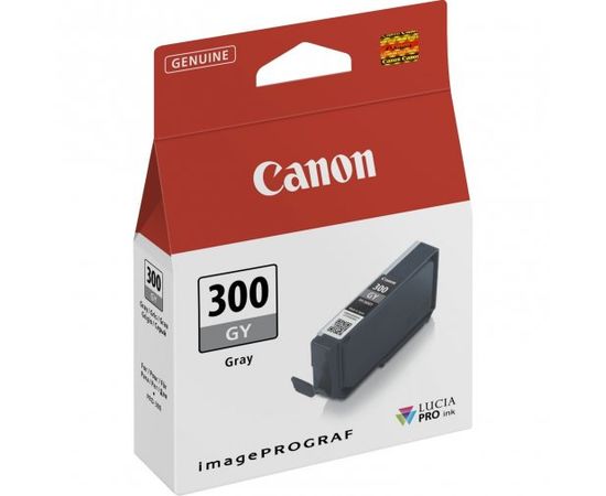Купить Картридж Canon для PFI-300 Grey (4200C001) по лучшей цене