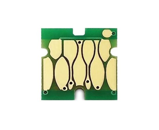 Купить Чип WWM для НПК Epson Expression Home XP-306/XP-313/XP-413 Cyan (CR.T1702N) по лучшей цене