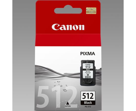 Купить Картридж Canon для Pixma MP230/MP250/MP270 PG-512Bk Black (2969B007) повышенной емкости по лучшей цене