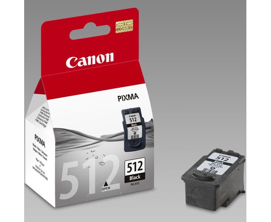Купить Картридж Canon для Pixma MP230/MP250/MP270 PG-512Bk Black (2969B007) повышенной емкости по лучшей цене